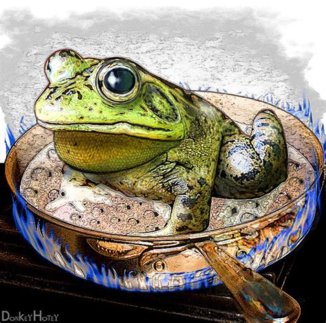 Boiling Frog | Flickr - Photo Sharing!