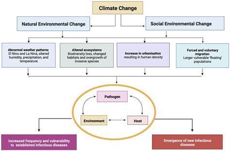 Frontiers | The impact of climate change and biodiversity loss on the ...