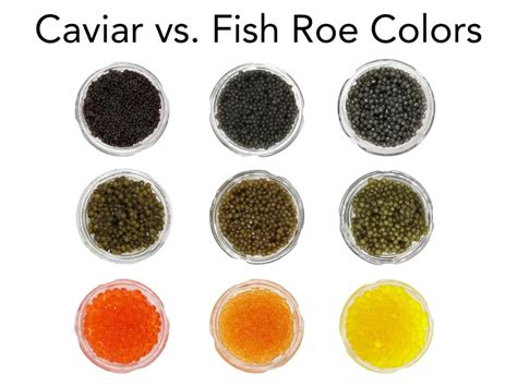 Roe vs. Caviar - What's the Difference? - CaviarHub.ca