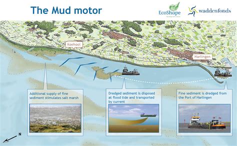 Guideline Salt Marshes now online - EcoShape