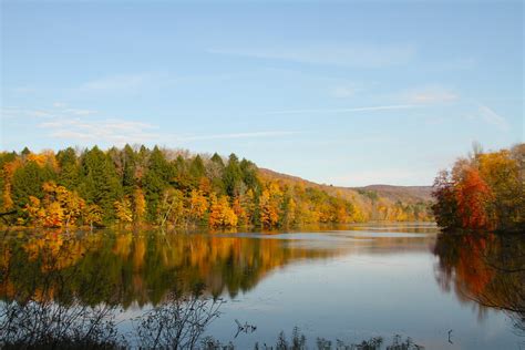 Foliage, Cheshire Reservoir | Cheshire Reservoir, Cheshire, … | Flickr