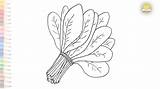 Spinach Coloring Pages  How To Draw Drawing Step By sketch template