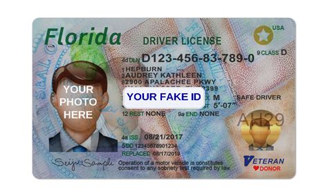 Florida Fake ID Template – Your Fake ID Templates