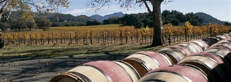 PlumpJack Winery | Napa valley wineries, Sonoma wineries, Places to travel