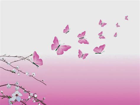 HD Butterflies: Pink butterflies flying wallpaper