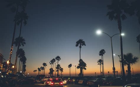 La Palm Trees Wallpapers on WallpaperDog