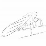 Animal Cricket Insect Coloring Page For Kids  Free Crickets Printable sketch template