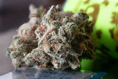 The Best Strains For A Long Lasting High - Kushfly