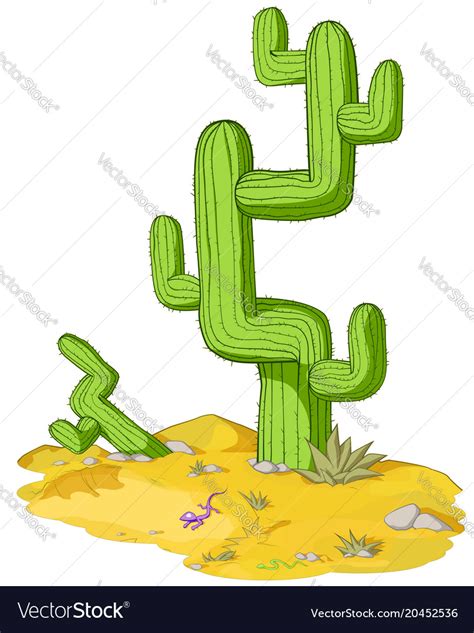 Desert cactus Royalty Free Vector Image - VectorStock