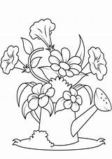 Large Flower Coloring Pages sketch template