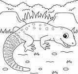 Gecko Coloring Pages sketch template