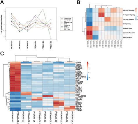 Gene expression analysis of tumor samples using the NanoString... | Download Scientific Diagram