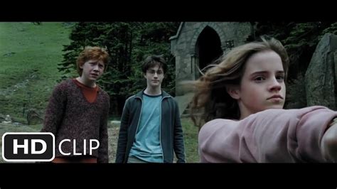 Hermione Granger Punches Draco Malfoy