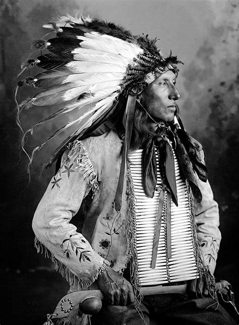 Rare historical photos of the Standing Rock Sioux | Native american history, Native american ...