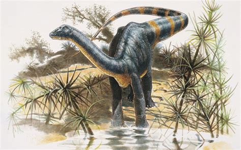 Dwarf Dinosaur Once Roamed Transylvania | Live Science