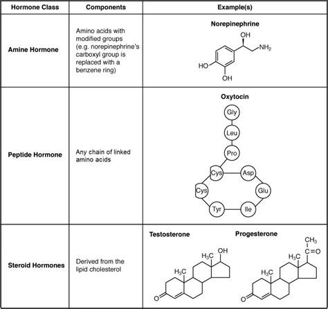 Hormones - Definition, Structure, Types, Functions, Examples - Biology Notes Online