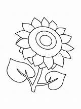 Sunflower coloring pages sketch template