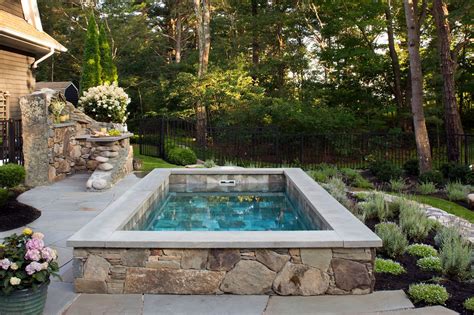 Luxury Plunge Pool | Small backyard pools, Small pool design, Small pools