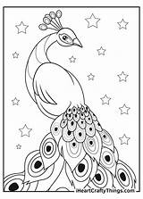 Printable Peacock Coloring Pages sketch template