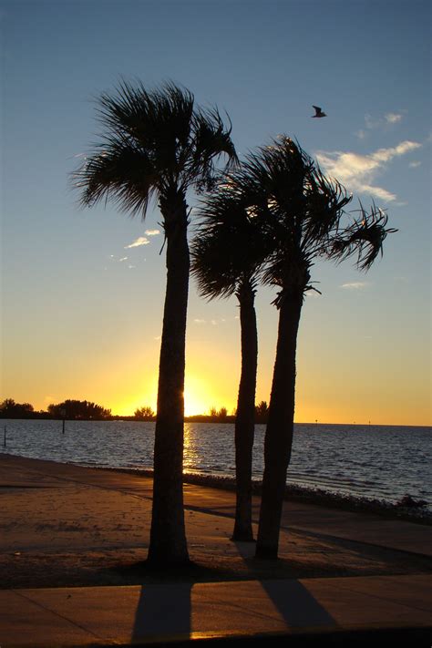 Hudson Beach Florida | Sunrise sunset, Florida beaches, Sunset