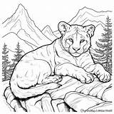 Mountain Lion Coloring Pages  Free & Printable sketch template