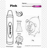 Color Coloring Pages  Print sketch template