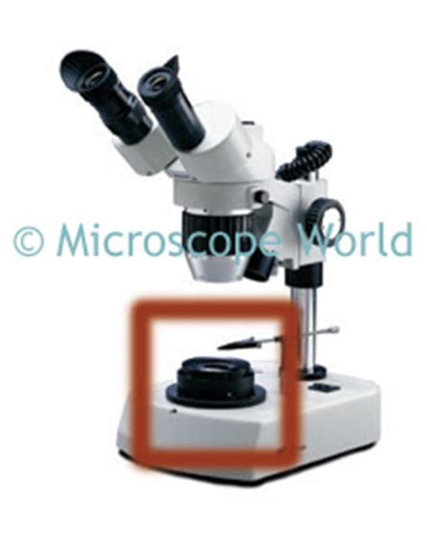 Microscope World Blog: Darkfield Microscopy