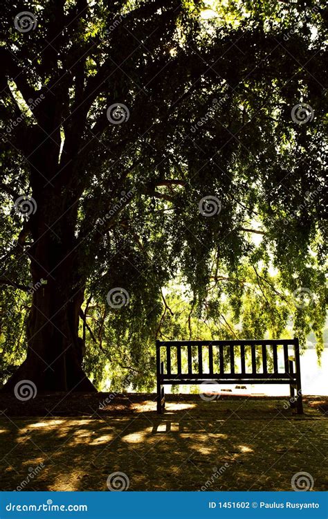 Emptiness stock photo. Image of park, brisbane, outdoor - 1451602