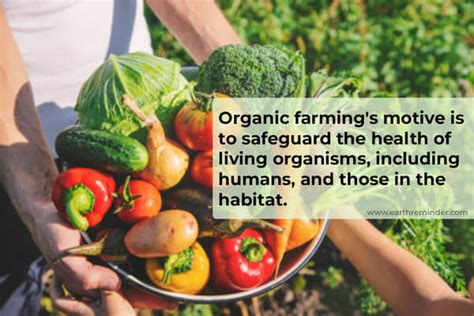 Organic Farming: Methods and Types | Earth Reminder