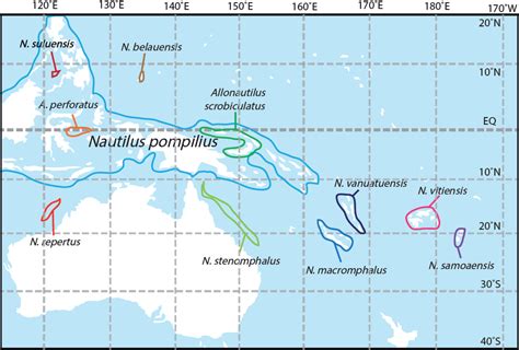 ﻿Three new species of Nautilus Linnaeus, 1758 (Mollusca, Cephalopoda ...