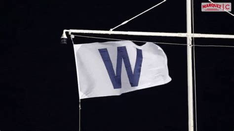 Chicago Cubs GIF by Marquee Sports Network - Find & Share on GIPHY