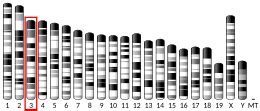 Glutathione S-transferase Mu 1 - Wikipedia