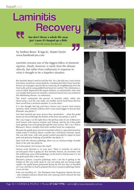 Laminitis Recovery - Horses and People Magazine - Barehoofcare