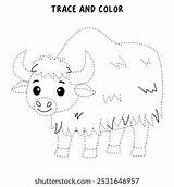 Yak Coloring Pages Kids Trace Color Stock Vector Royalty Free  sketch template