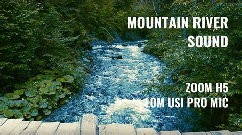 Mountain River Sound | Nature Therapy | Zoom H5 Lom Usi Pro mic | White Noise 1hour | #ASMR ...