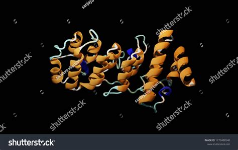 3d Rendering Ankyrin Structure Ankyrin Protein Stock Illustration 1770488540 | Shutterstock