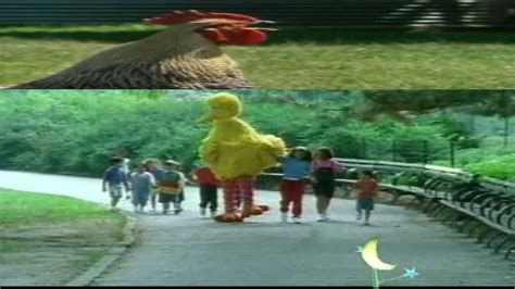 What if What sound does a rooster make skit appeared in Sesame Street Season 31 (2000) (Muppet ...