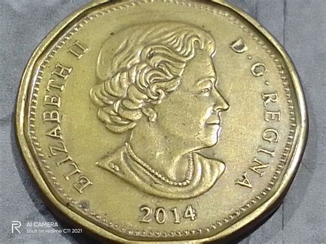 2014 Canadian 1 Dollar Commemorative coin, Hobbies & Toys, Memorabilia ...