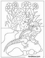 Free LIZARD Coloring Pages For Download Printable PDF sketch template