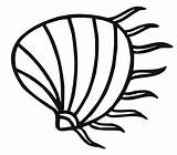 Clam Coloring Page sketch template