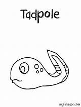 Tadpole Coloring Page  Home sketch template
