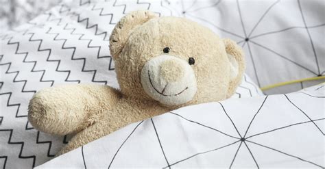 Brown Bear Plush Toy · Free Stock Photo