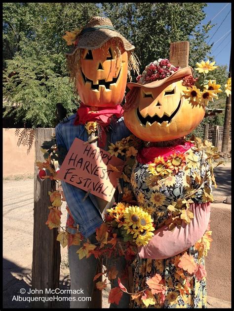 Break Guinness World Record Pumpkin Carving Help Galloping Grace Youth Ranch