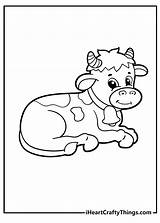 Coloring Pages Of Cows Free Printable sketch template