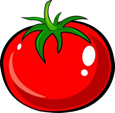 Tomato Drawing | Easy Step-By-Step Tutorial