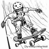 Skateboard Coloring Pages  Free & Printable sketch template