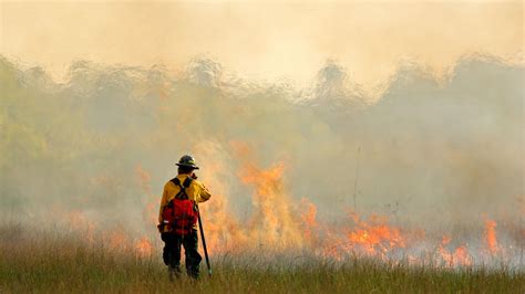 Wildfire prevention system monitors conditions in remote areas