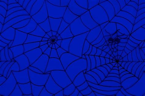Spiders Spiderweb Cobweb - Free image on Pixabay