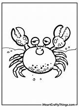 38 Best Ideas For Coloring Crab Sheet  Vrogueco sketch template