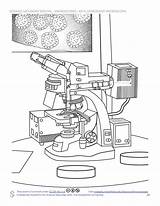 Learn About microscopes sketch template